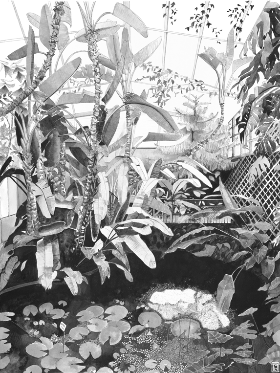 La Jungle de Grenoble